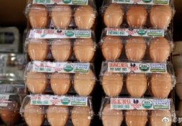 美媒：禽流感导致大量家禽死亡 美国鸡蛋价格升至创纪录高点