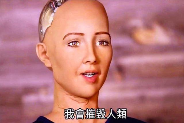 售价10万的“妻子机器人”，除了生孩子什么都能做？小心别被骗了